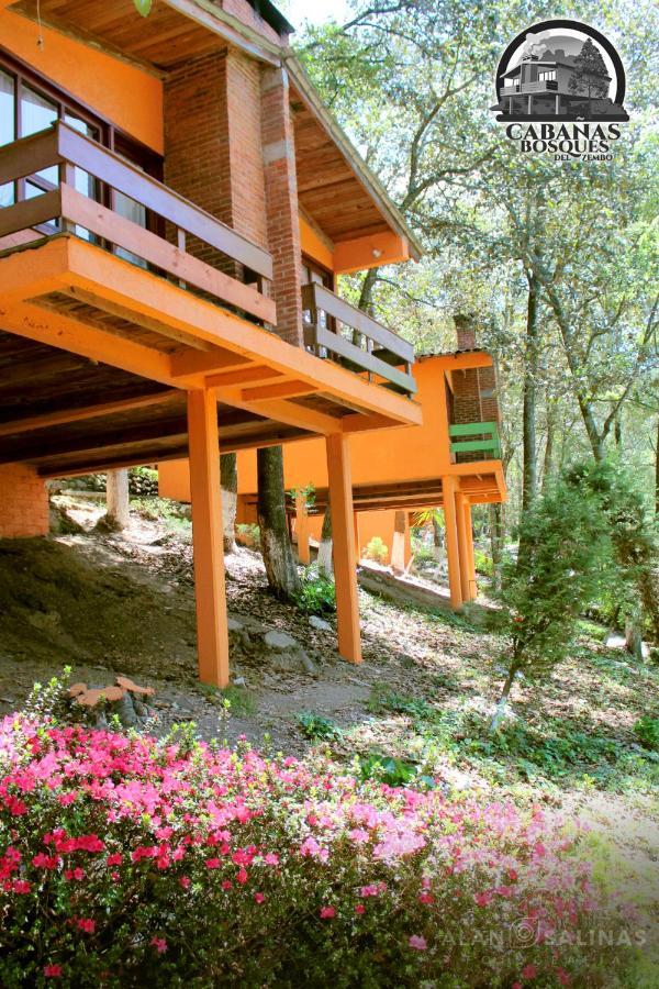 Cabanas Los Bosques Del Zembo Huasca de Ocampo Exterior foto