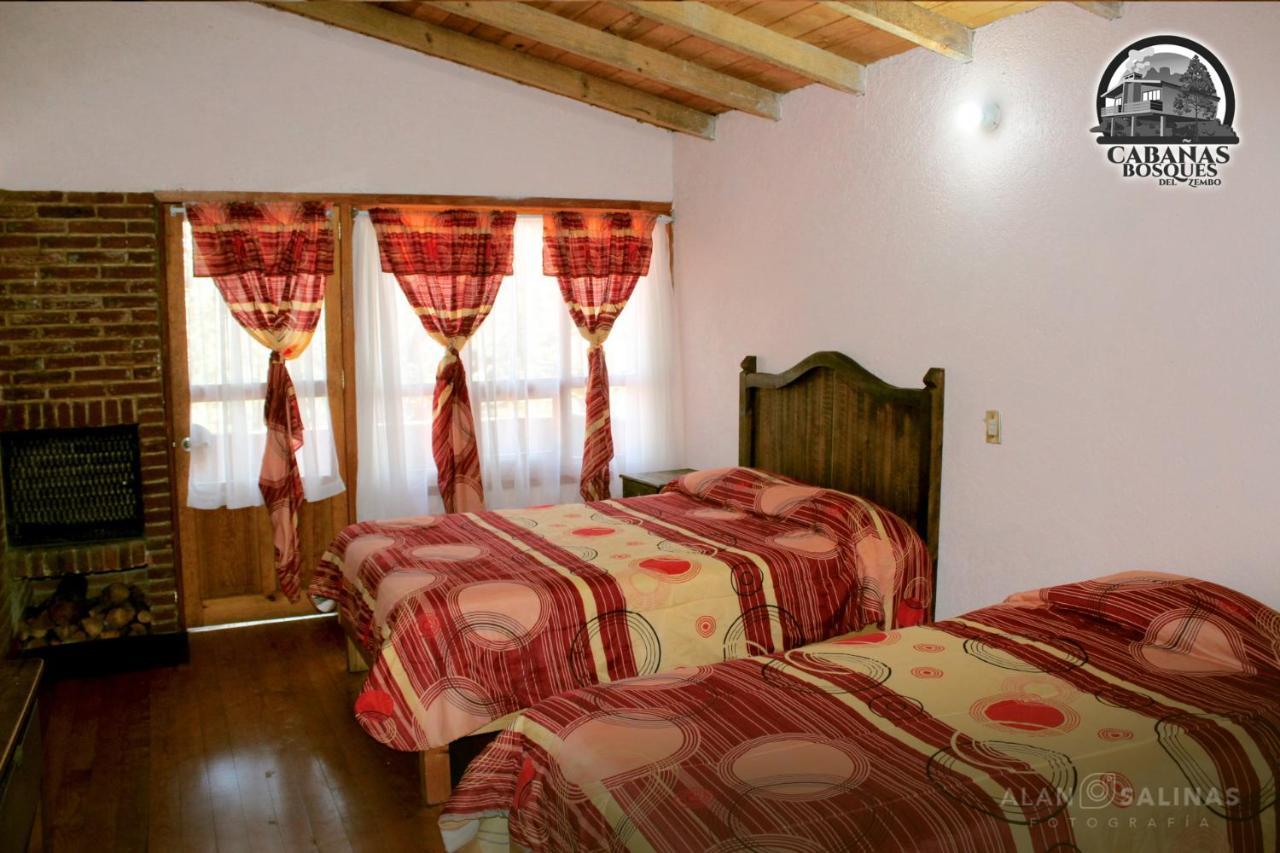 Cabanas Los Bosques Del Zembo Huasca de Ocampo Exterior foto