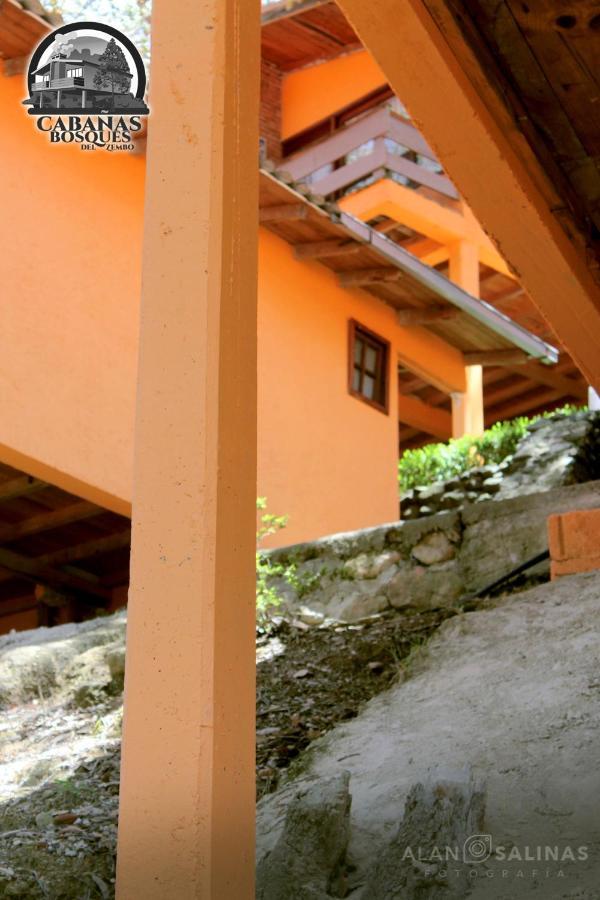 Cabanas Los Bosques Del Zembo Huasca de Ocampo Exterior foto